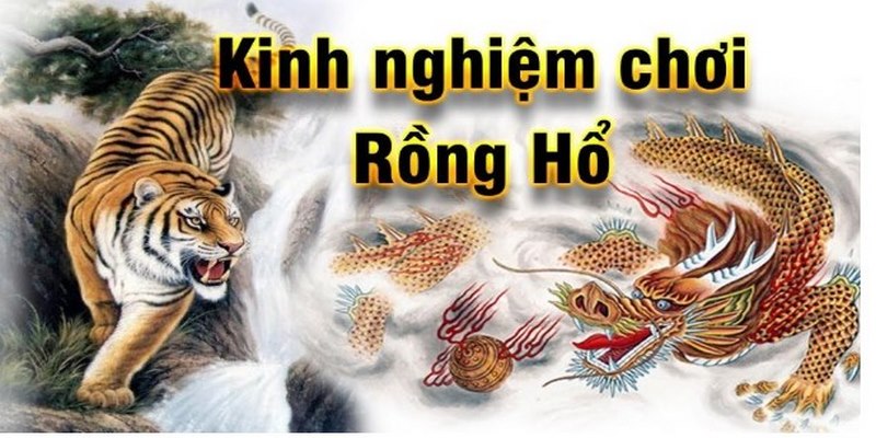 Tổng hợp 5 mẹo chơi Rồng Hổ hiệu quả